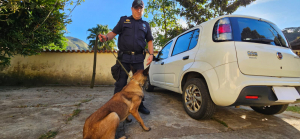 Guarda Civil fará curso de Condução de Cães de Polícia
