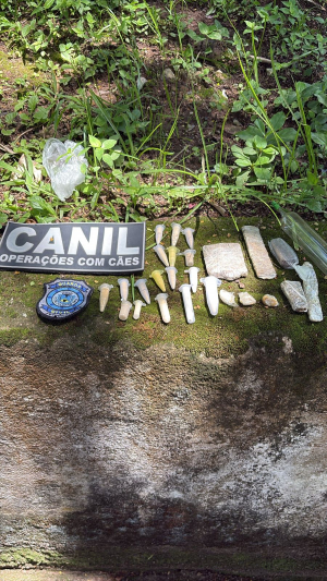 Cães farejadores da Guarda Civil Municipal localizam drogas durante treinamento no Centro