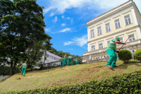 Prefeitura inicia plantio de hortênsias no Relógio das Flores