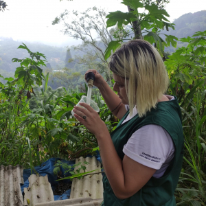 Petrópolis terá segundo Dia D de Combate à Dengue