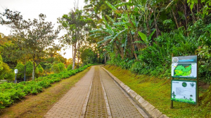 Parque Natural da Ipiranga passa a funcionar aos fins de semana das 7h30 às 17h