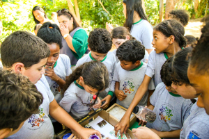 Petrópolis celebra o Dia D Ambiental com atividades para estudantes da rede municipal