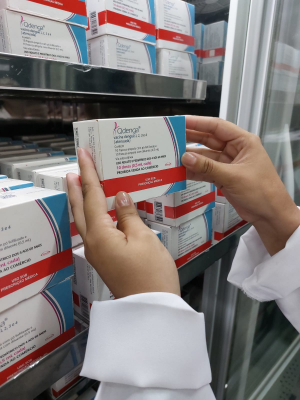 Vacinação contra dengue para crianças e adolescentes em Petrópolis a partir de quinta-feira