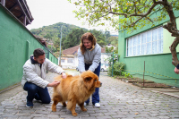 Vacinação antirrábica tem quase 17 mil cães e gatos imunizados este ano