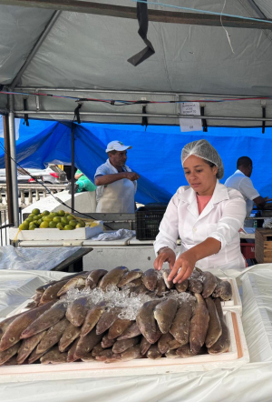 Feira do Pescado de Petrópolis espera vender mais de 20 toneladas de peixe