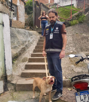 Cobea resgata dois animais agressivos que ameaçavam moradores