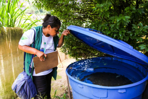 Petrópolis terá Dia D contra a Dengue no próximo sábado (28/02)