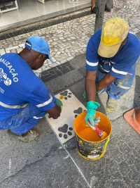 Petrópolis ganha primeira faixa de travessia destinada a animais