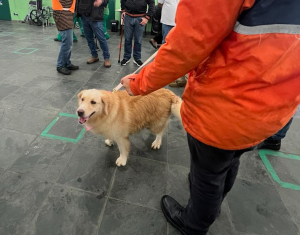 Prefeitura mobiliza efetivo da Guarda Civil Municipal a pontos de apoio e auxílio à Defesa Civil