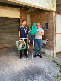 Coordenadoria de Bem-Estar Animal resgata de gato em prédio abandonado no Quitandinha