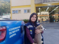 Coordenadoria de Bem-Estar Animal realiza prisão por maus-tratos no Alto da Serra