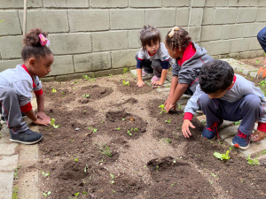 Prefeitura inaugura horta didática na Escola Municipal Augusto Pugnaloni