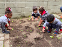 Prefeitura inaugura horta didática na Escola Municipal Augusto Pugnaloni