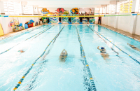 Retorno da natação ao Jeups reúne mais de 100 estudantes na E.M. Monsenhor João de Deus Rodrigues, em Pedro do Rio