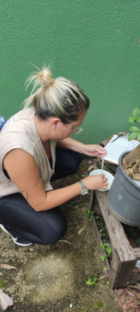 Prefeitura intensifica ações de combate ao mosquito transmissor da dengue