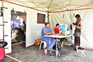 Prefeitura abre segunda etapa da campanha de castração de animais