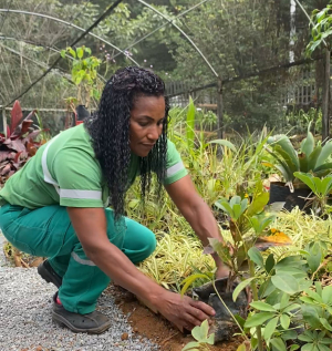 Semana do Meio Ambiente terá programação especial em Petrópolis com ações de conscientização, educação ambiental e sustentabilidade