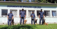 Canil da Guarda Civil de Petrópolis se consolida como política pública de segurança e inclusão social