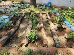 CEI Dra Zilda Arns Neumann cria novos espaços de leitura e atividades com reaproveitamento de troncos