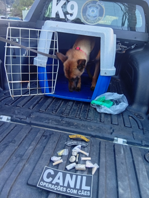 Ações da Guarda Civil terminam com apreensões de drogas no Vicenzo Rivetti e Roseiral