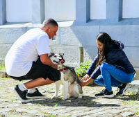 Petrópolis terá mais uma etapa de vacinação antirrábica neste sábado (11/10)