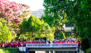 Caminhada do Outubro Rosa colore as ruas de Petrópolis e reforça mensagem de solidariedade e prevenção Centenas de pessoas se vestiram de rosa e caminharam pelo Centro Histórico com um alerta importante contra o câncer de mama